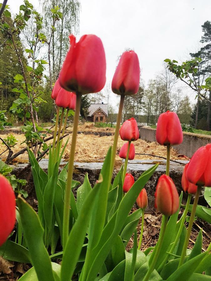 Garpenbergs B&B, Bnb 外观 照片